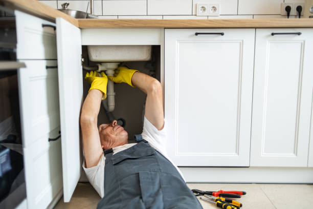 Best Sprinkler Systems  in Baraga, MI